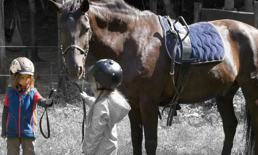 Ponyreiten in Taubenheim bei Dresden Kindergeburtstag