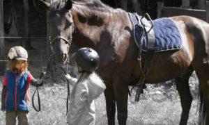 Ponyreiten in Taubenheim bei Dresden Kindergeburtstag