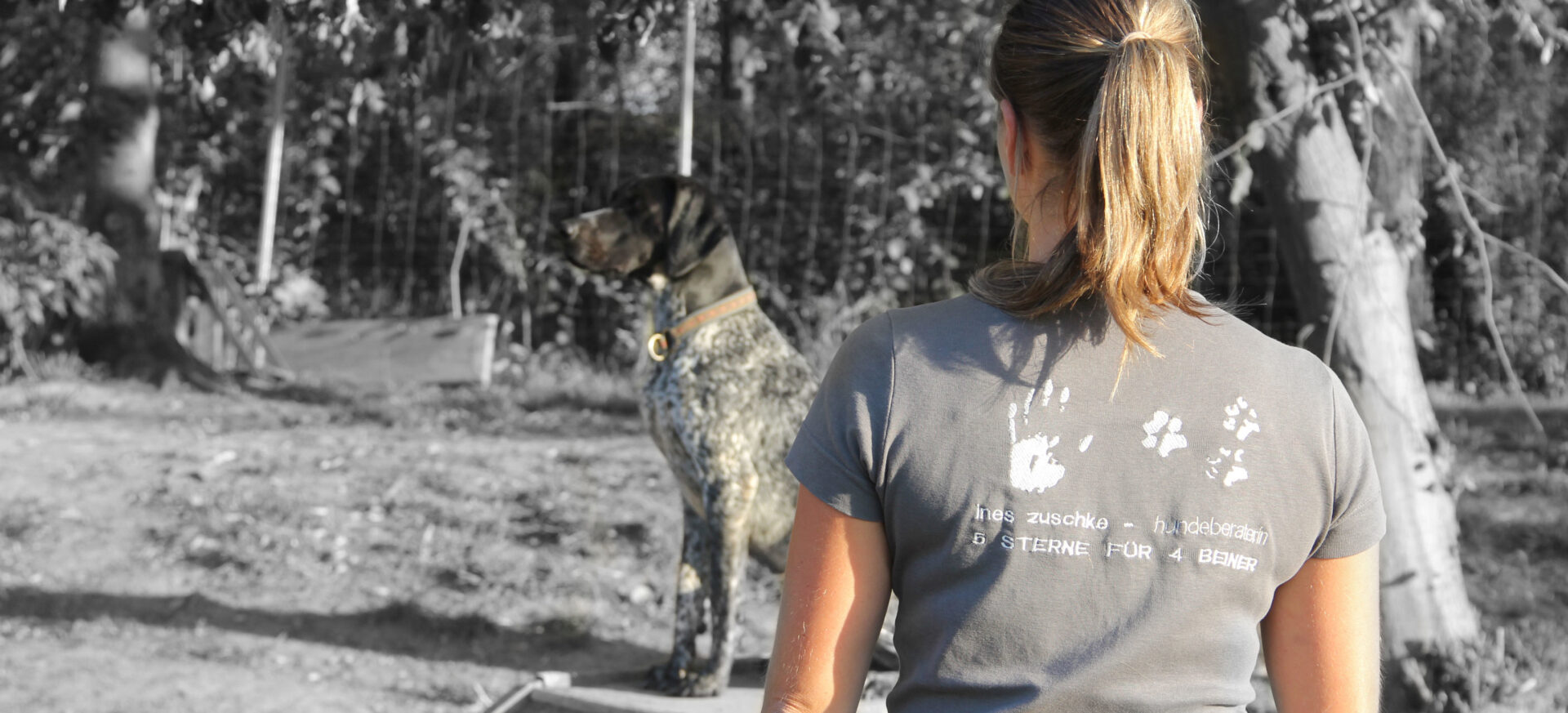 Hundeberaterin_Ines-Zuschke_Hundeabitur-01 Hundeberaterin_Ines-Zuschke_Hundeabitur-01