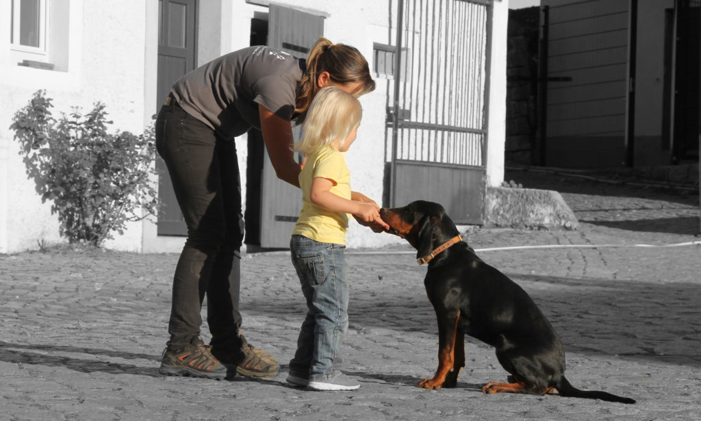 Kinder beim Sicherheitstraining mit Hunden