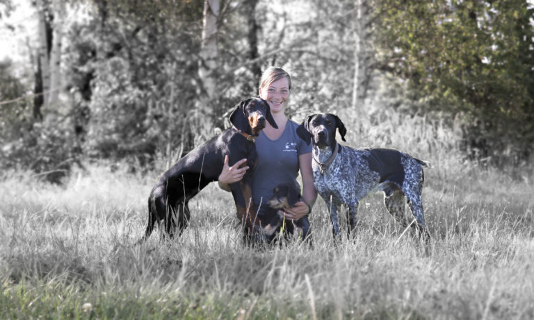 Fortgeschrittener Unterricht mit Hunden