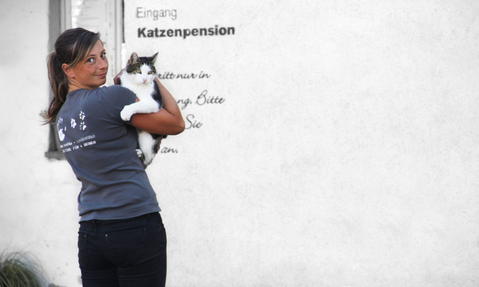 Tierpension für Katzen in Taubenheim bei Dresden