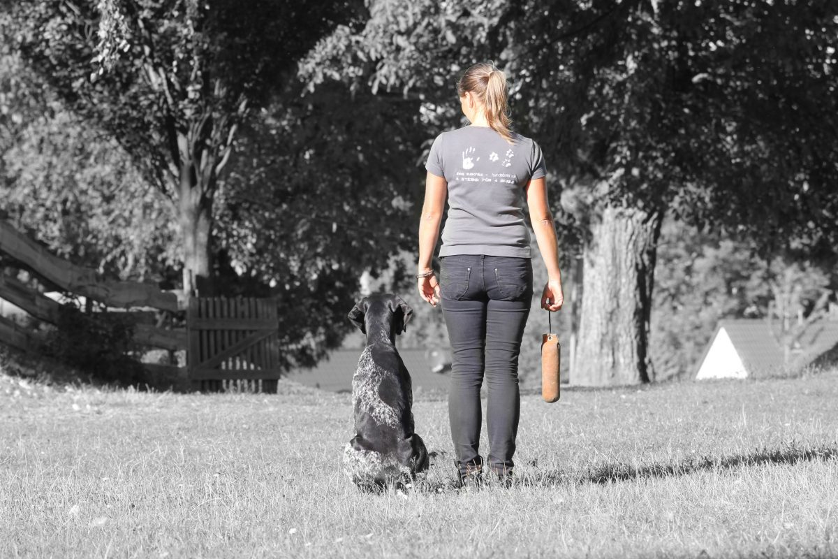 Hundeberaterin_Ines-Zuschke_APPORTIEREN_01 Hundeberaterin_Ines-Zuschke_APPORTIEREN_01