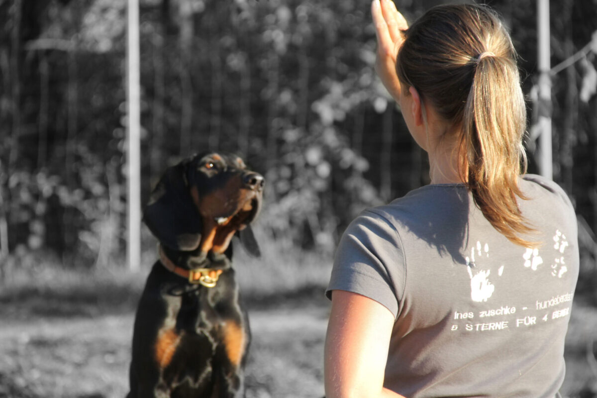 Hundeberaterin_Ines-Zuschke_Mittelschule-02