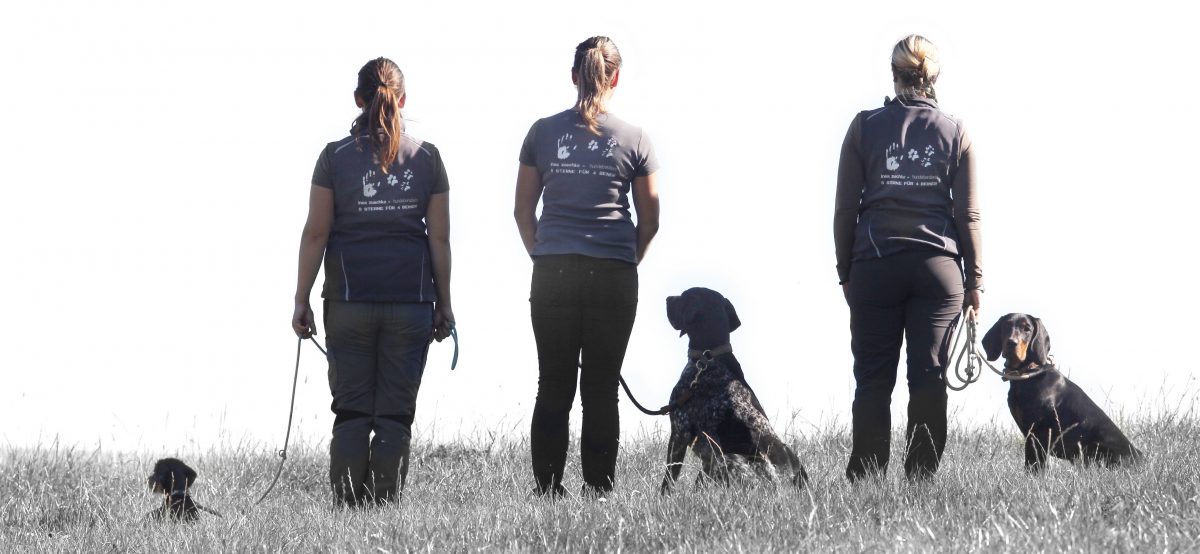 Hundeberaterin_Ines-Zuschke_Team Hundeberaterin_Ines-Zuschke_Team